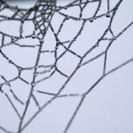 国产香港毛片免费观看 lg7n8e