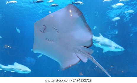 幸福里房价:解析当前市场趋势与未来发展潜力 幸福里房价:解析当前市场趋势与未来发展潜力