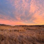 天天影视网天天综合色在线播放:畅享高清影视盛宴,尽在指尖轻松观看 fd2f7f