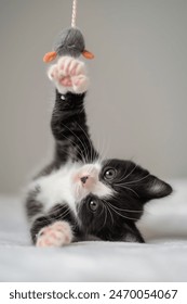 探索18comic.org.com:漫画爱好者的天堂与创作平台 探索18comic.org.com:漫画爱好者的天堂与创作平台