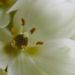 我爱uu导航:探索更便捷的出行新方式 pb52d5